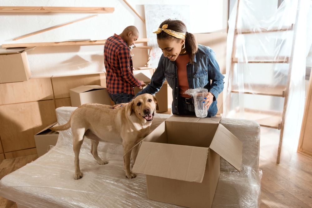 Understanding the Impact of Moving on Pets